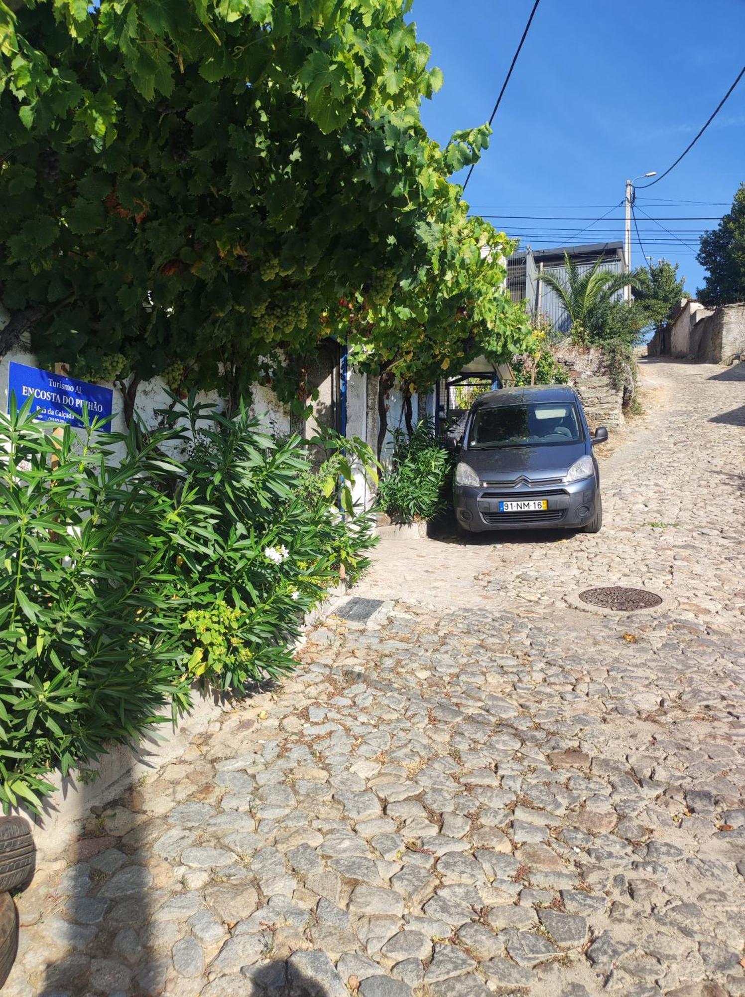Encosta Do Pinhao Villa Casal de Loivos Екстериор снимка